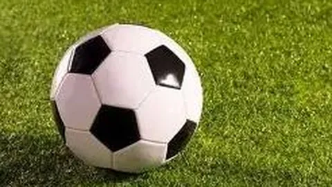 星空娱乐 产品 122526 dl5