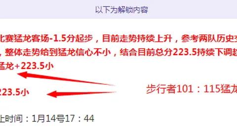 荷兰队主教练德波尔遭官方解雇